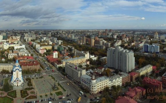 Effective Site Search